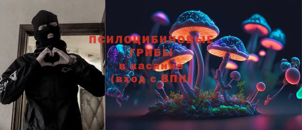 гашик Майский